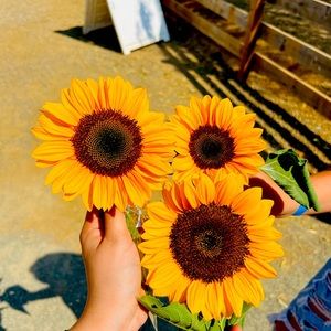 Meet your Posher, Sonjia